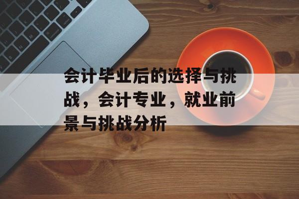 会计毕业后的选择与挑战，会计专业，就业前景与挑战分析