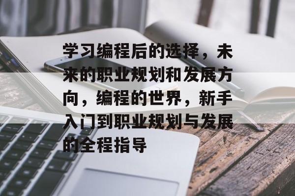 学习编程后的选择，未来的职业规划和发展方向，编程的世界，新手入门到职业规划与发展的全程指导