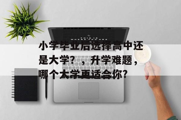 小学毕业后选择高中还是大学？，升学难题，哪个大学更适合你?
