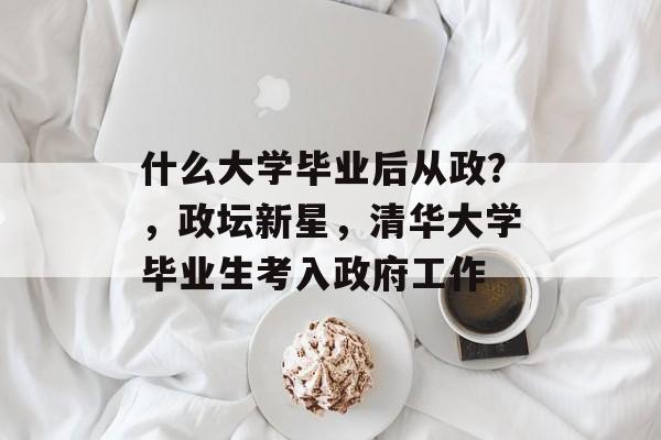 什么大学毕业后从政?,政坛新星,清华大学毕业生考入政府工作 什么大学毕业后从政?,政坛新星,清华大学毕业生考入政府工作