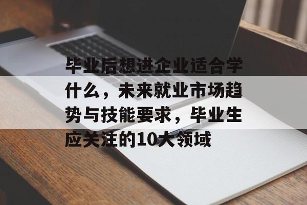 毕业后想进企业适合学什么，未来就业市场趋势与技能要求，毕业生应关注的10大领域