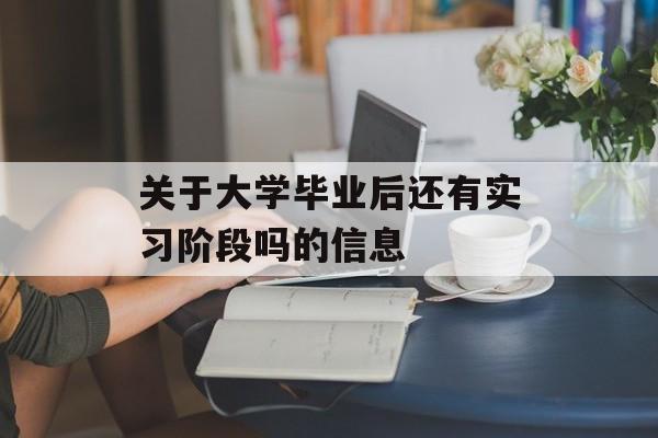 关于大学毕业后还有实习阶段吗的信息