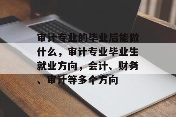 审计专业的毕业后能做什么,审计专业毕业生就业方向,会计、财务、审计等多个方向 审计专业的毕业后能做什么,审计专业毕业生就业方向,会计、财务、审计等多个方向