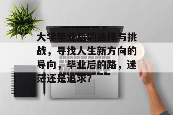 大学毕业后的选择与挑战，寻找人生新方向的导向，毕业后的路，迷茫还是追求？