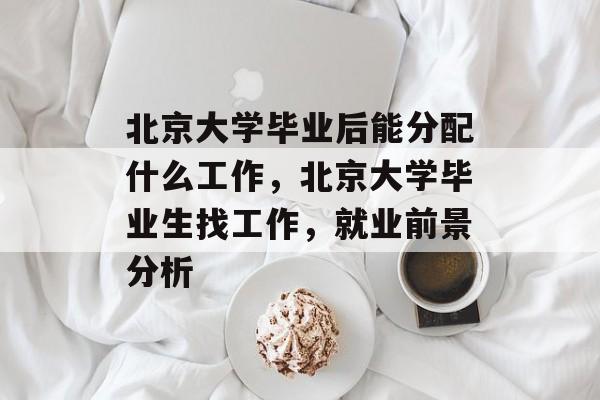 北京大学毕业后能分配什么工作，北京大学毕业生找工作，就业前景分析