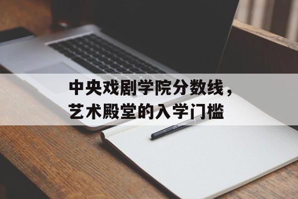 中央戏剧学院分数线，艺术殿堂的入学门槛