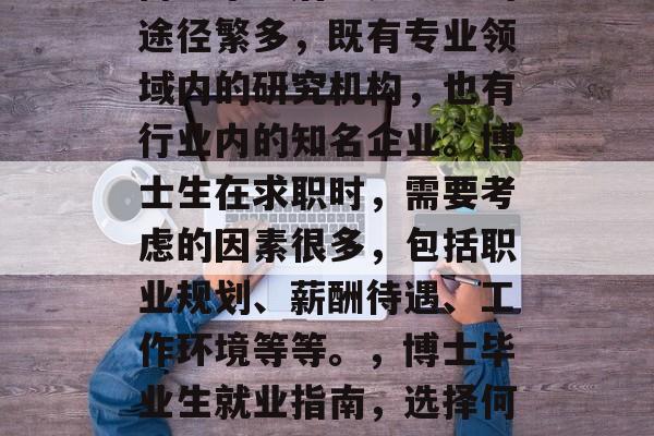 博士毕业后进入企业的途径繁多，既有专业领域内的研究机构，也有行业内的知名企业。博士生在求职时，需要考虑的因素很多，包括职业规划、薪酬待遇、工作环境等等。，博士毕业生就业指南，选择何种路径求职