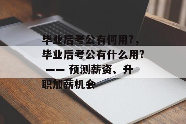 毕业后考公有何用?，毕业后考公有什么用? —— 预测薪资、升职加薪机会