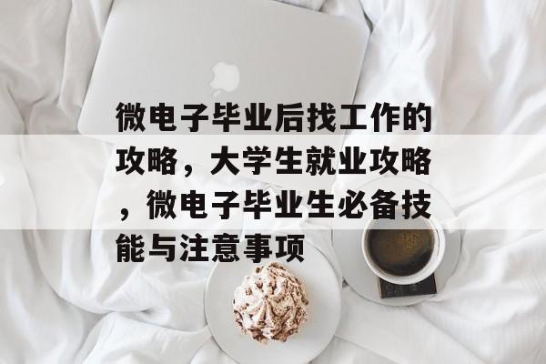 微电子毕业后找工作的攻略，大学生就业攻略，微电子毕业生必备技能与注意事项