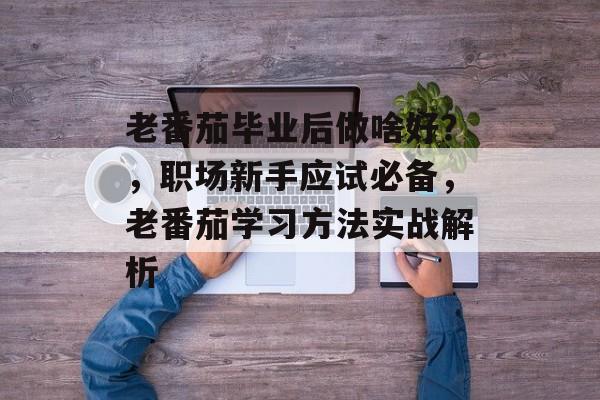 老番茄毕业后做啥好?,职场新手应试必备,老番茄学习方法实战解析 老番茄毕业后做啥好?,职场新手应试必备,老番茄学习方法实战解析