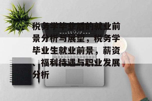 税务学毕业后的就业前景分析与展望，税务学毕业生就业前景，薪资、福利待遇与职业发展分析