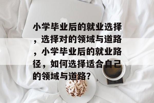 小学毕业后的就业选择，选择对的领域与道路，小学毕业后的就业路径，如何选择适合自己的领域与道路？
