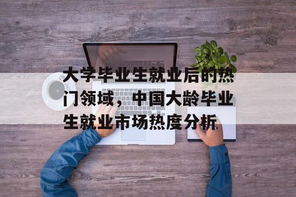 大学毕业生就业后的热门领域，中国大龄毕业生就业市场热度分析