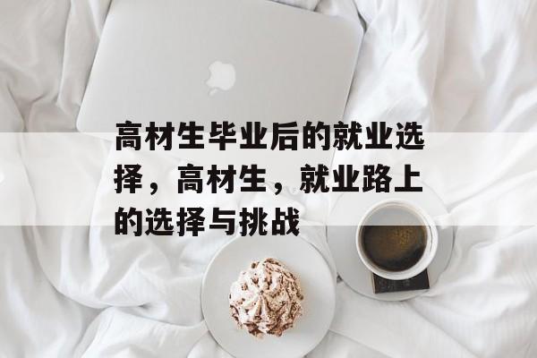 高材生毕业后的就业选择，高材生，就业路上的选择与挑战