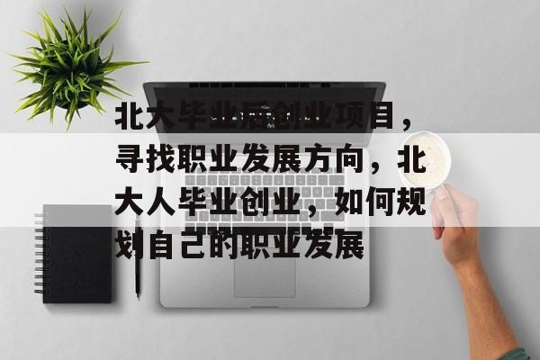 北大毕业后创业项目，寻找职业发展方向，北大人毕业创业，如何规划自己的职业发展