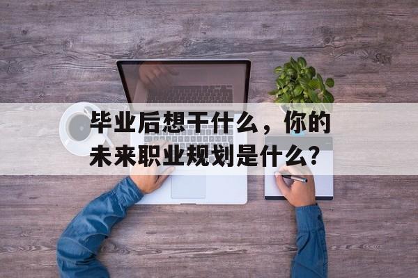 毕业后想干什么，你的未来职业规划是什么？