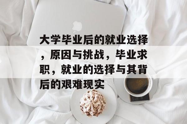 大学毕业后的就业选择，原因与挑战，毕业求职，就业的选择与其背后的艰难现实