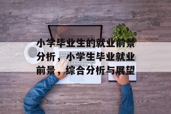 小学毕业生的就业前景分析，小学生毕业就业前景，综合分析与展望