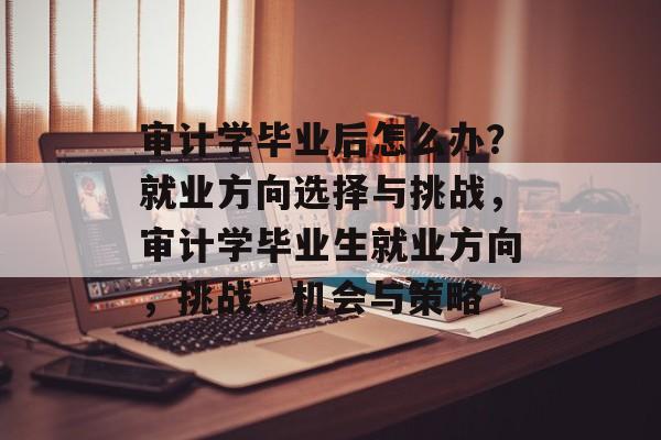 审计学毕业后怎么办？就业方向选择与挑战，审计学毕业生就业方向，挑战、机会与策略