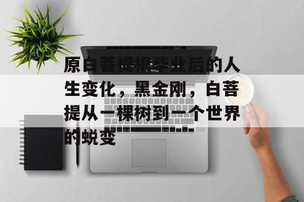 原白菩提根毕业后的人生变化,黑金刚,白菩提从一棵树到一个世界的蜕变 原白菩提根毕业后的人生变化,黑金刚,白菩提从一棵树到一个世界的蜕变