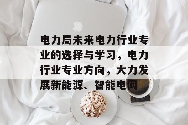 电力局未来电力行业专业的选择与学习，电力行业专业方向，大力发展新能源、智能电网