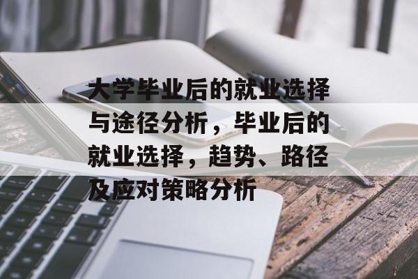 大学毕业后的就业选择与途径分析，毕业后的就业选择，趋势、路径及应对策略分析