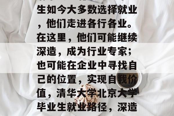 清华大学北京大学毕业生如今大多数选择就业，他们走进各行各业。在这里，他们可能继续深造，成为行业专家；也可能在企业中寻找自己的位置，实现自我价值，清华大学北京大学毕业生就业路径，深造、找业或自己创业