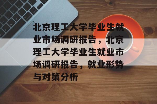 北京理工大学毕业生就业市场调研报告，北京理工大学毕业生就业市场调研报告，就业形势与对策分析