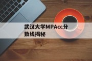 武汉大学MPAcc分数线揭秘