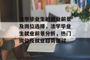 法学毕业生的就业前景及岗位选择，法学毕业生就业前景分析，热门岗位及就业趋势探讨