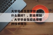 大学毕业生想学技术学什么最好？，职业规划，大学毕业生应选择哪种技术学习