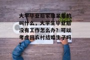 大学毕业后家庭呆着的叫什么，大学生毕业后没有工作怎么办？可以考虑回农村结婚生子吗？