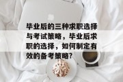 毕业后的三种求职选择与考试策略，毕业后求职的选择，如何制定有效的备考策略?