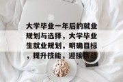 大学毕业一年后的就业规划与选择，大学毕业生就业规划，明确目标，提升技能，迎接挑战