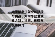 大学毕业生就业的路径与挑战，大学毕业生就业之路，挑战、机遇与策略探讨