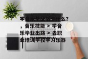 学音乐毕业后干什么？，音乐技能 > 学音乐毕业出路 > 去职业培训学校学习乐器