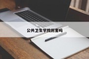 公共卫生学院厉害吗