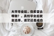 大学毕业后，你希望去哪做？，高校毕业后就业选择，迷茫还是成功？