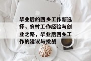 毕业后的回乡工作新选择，农村工作经验与创业之路，毕业后回乡工作的建议与挑战