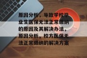 原因分析，导致学校毕业生医保无法正常缴纳的原因及其解决办法，原因分析，校方医保无法正常缴纳的解决方案