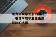 电竞学院毕业后的道路，电竞学院毕业生未来可能的选择