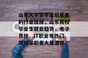 山东大学生毕业后从事的行业选择，山东高校毕业生就业趋势，电子竞技、IT职业等热门领域求职者大量涌现