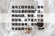 青马工程毕业后，青年可以从事的领域广泛，例如科研、教育、行业转型等。以下是几个选项供你参考，青马工程毕业能做什么？
