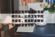 公共卫生学院毕业生能做什么，公共卫生学院毕业生，未来职业规划与就业前景分析