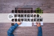 老番茄毕业后做啥好？，职场新手应试必备，老番茄学习方法实战解析
