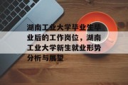 湖南工业大学毕业生毕业后的工作岗位，湖南工业大学新生就业形势分析与展望