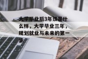 大学毕业后3年该是什么样，大学毕业三年，规划就业与未来的第一步