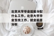 北京大学毕业后能分配什么工作，北京大学毕业生找工作，就业前景分析