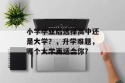小学毕业后选择高中还是大学？，升学难题，哪个大学更适合你?