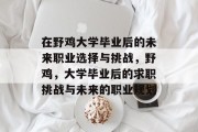 在野鸡大学毕业后的未来职业选择与挑战，野鸡，大学毕业后的求职挑战与未来的职业规划